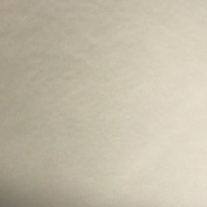 Meet your Posher, Janel